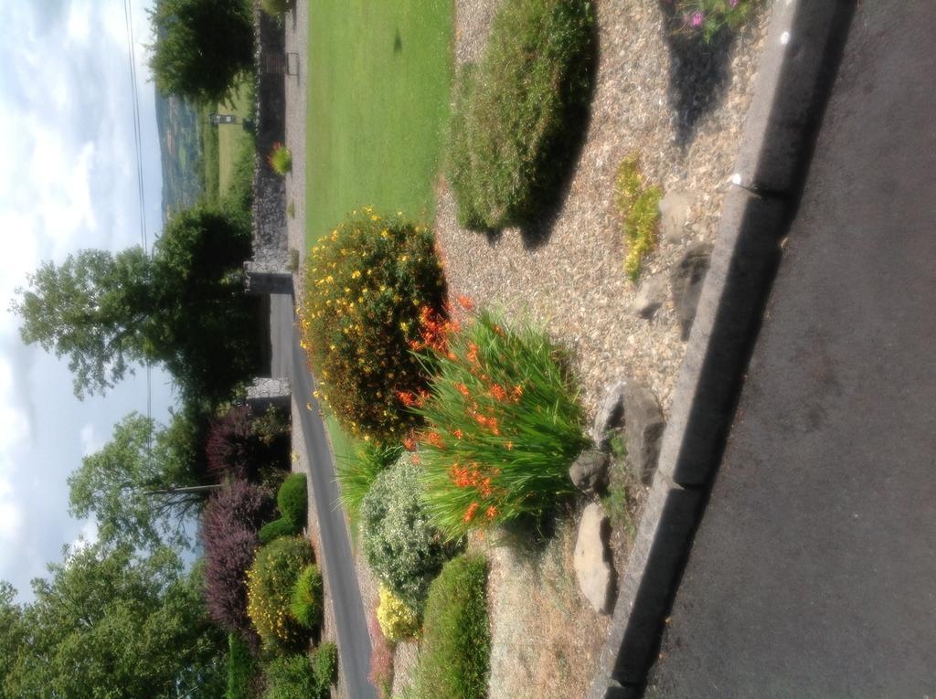 Innisfree B&B Bunratty Esterno foto