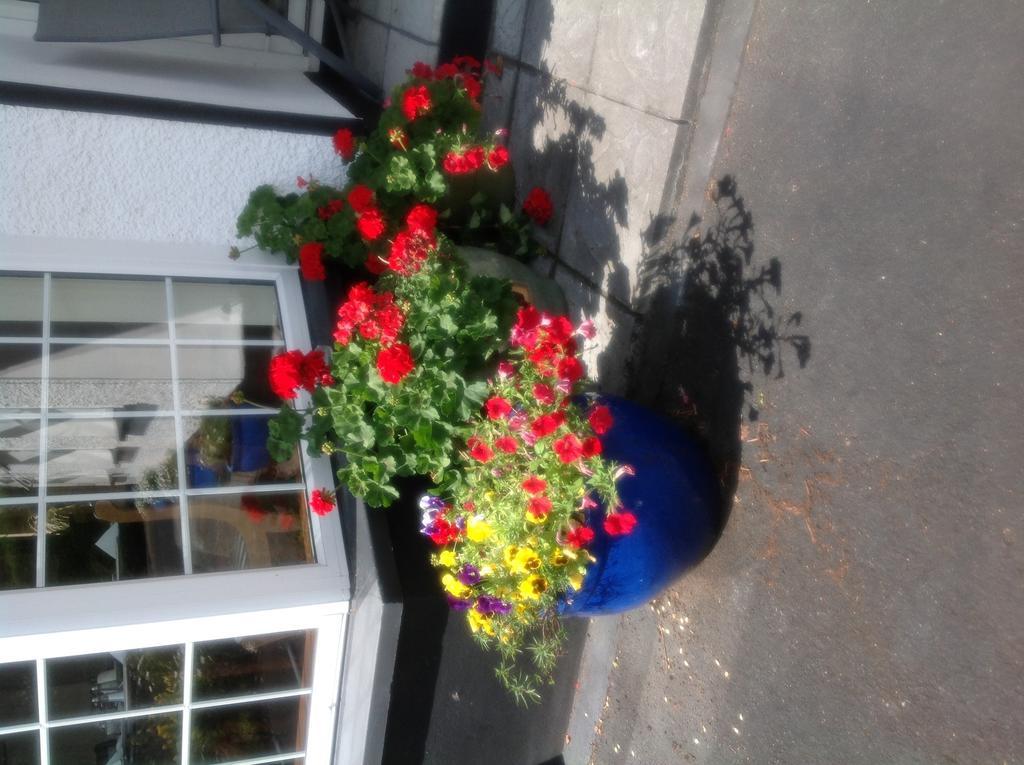 Innisfree B&B Bunratty Esterno foto